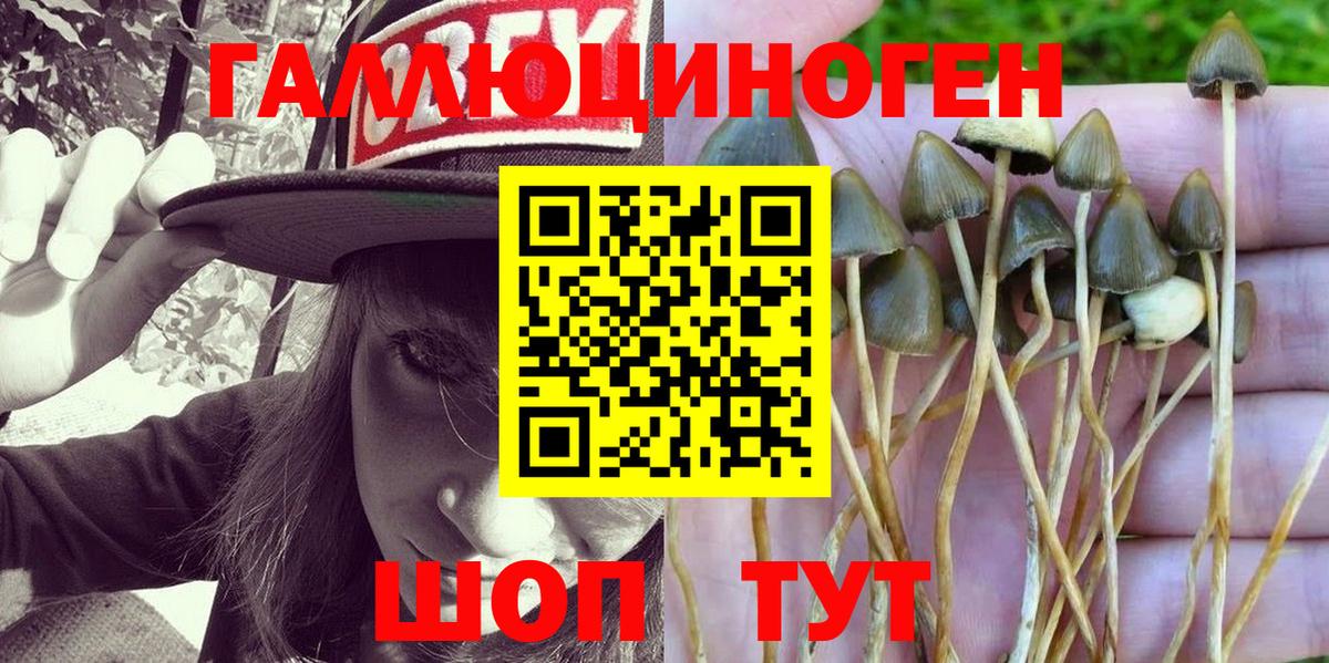 Галлюциногенные грибы Psilocybine cubensis  Псилоцибиновые грибы Psilocybine cubensis  Вход с VPN  Лесозаводск 